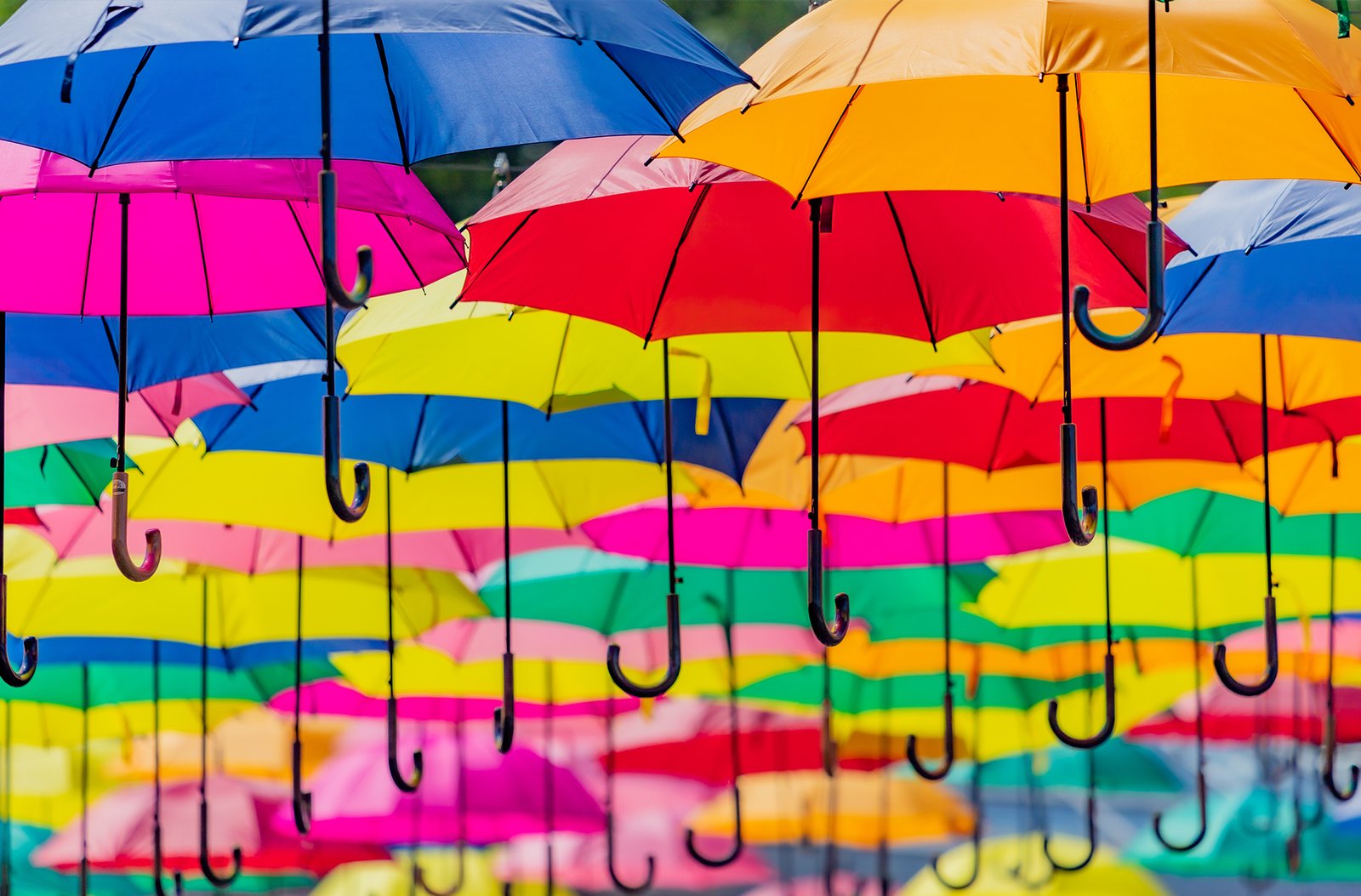 What Is Umbrella Insurance and Why You Need It